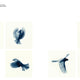 Aviary: The Bird in Contemporary Photography