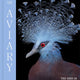 Aviary: The Bird in Contemporary Photography