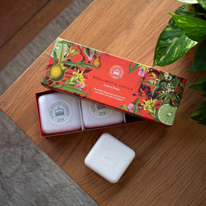 Bergamot & Ginger Kew Gardens Soap Gift Set