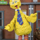 Ultimate Big Bird 7" Scale Action Figure