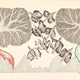 Birds in Flight Ink on Paper - Gond Art