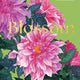 Blossom: Practical and Creative Ways to Find Wonder in the Floral World