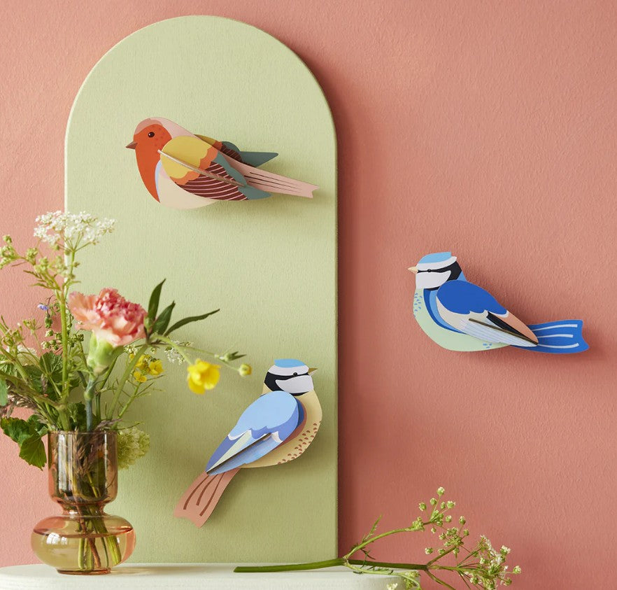 Blue Tit B6 Garden Birds Wall Art