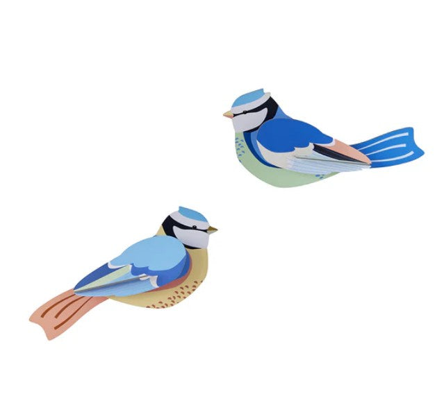 Blue Tit B6 Garden Birds Wall Art