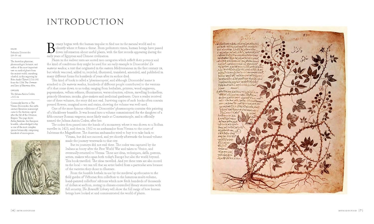 Botanists' Library: The Most Important Botanical Books in History