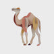 Camel Wall Art B7 Jungle Animals