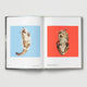 Cat: New photography of the Cat