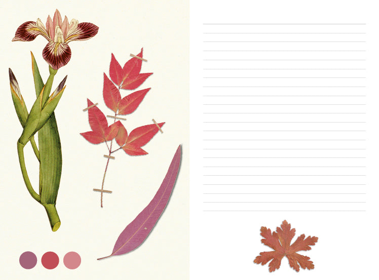 Couleurs Nature -Illustrated Journal