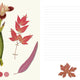 Couleurs Nature -Illustrated Journal