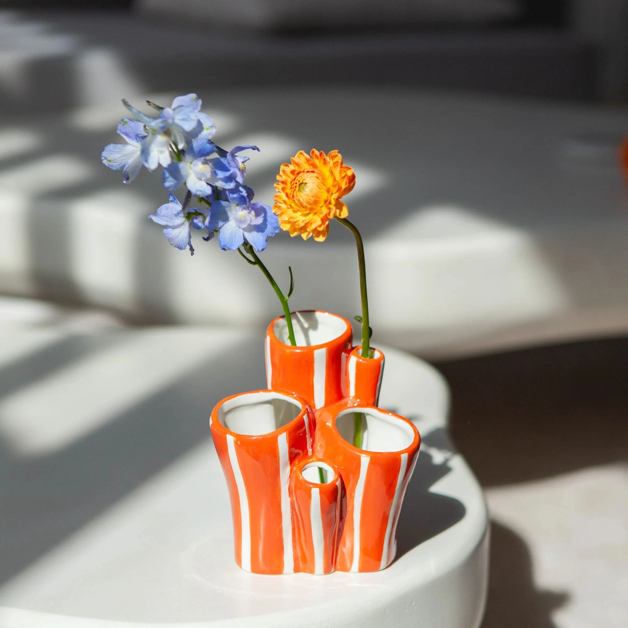 Ocean Dreams Coral Pot