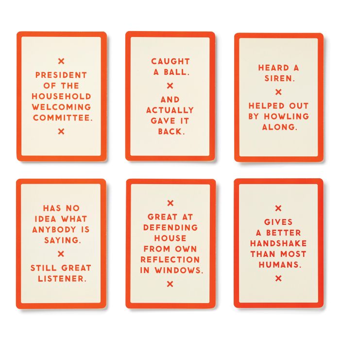 Because This Dog Is Embarrassing Card Set