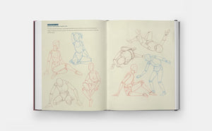 Drawing the Body: Reading the Human Form in Art