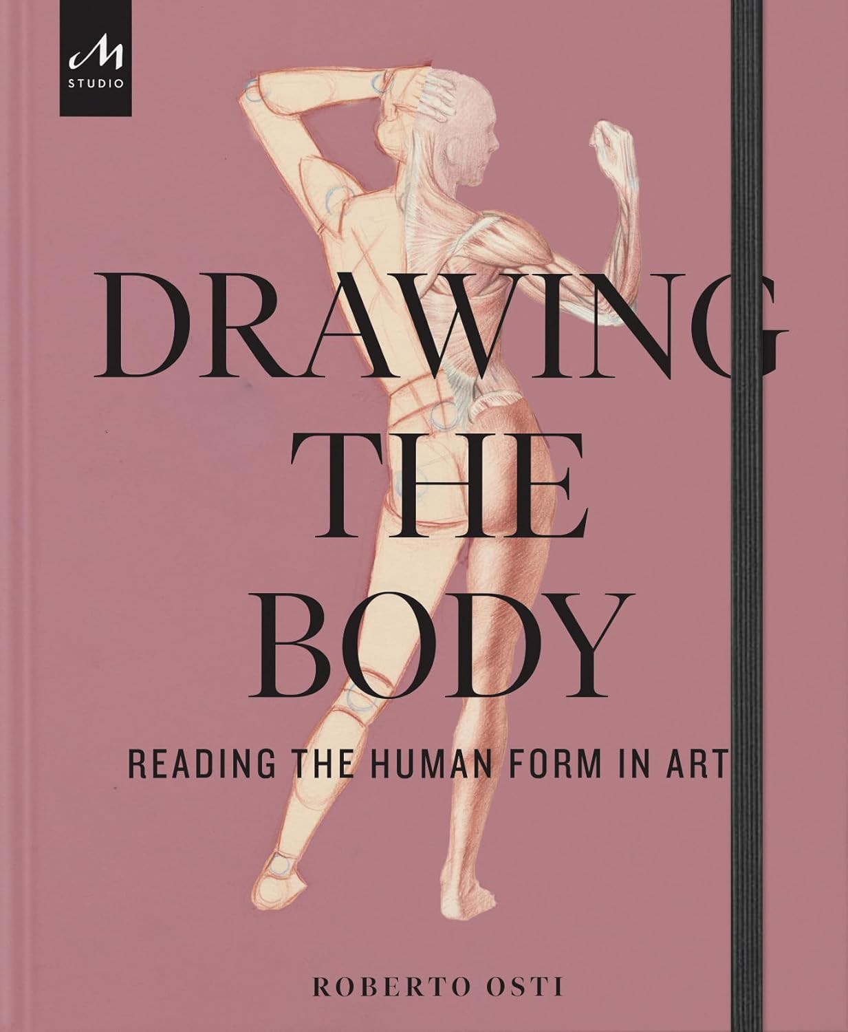 Drawing the Body: Reading the Human Form in Art