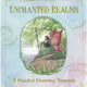 Enchanted Realms A Guided Drawing Journey