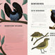 Encyclopedia of Birds