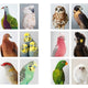 Exposure: Contemporary Photographers in Australia and New Zealand