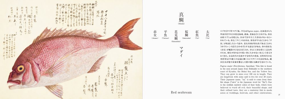 Fishes of Edo: A Guide to Classical Japanese Fishes