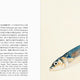 Fishes of Edo: A Guide to Classical Japanese Fishes