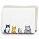 Flat Note Boxed Set - Cat's Meow