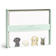 Flat Note Boxed Set - Dog Days