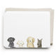 Flat Note Boxed Set - Dog Days