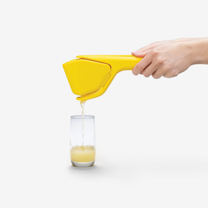 Fluicer Fold Flat Easy Juicer