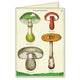 Foraging Mushrooms Boxed Notecards