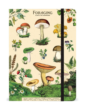Foraging Mushrooms Large Notebook