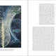Francis Picabia:  Éternel recommencement / Eternal Beginning