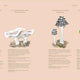 Fungi: Discover the Science and Secrets Behind the World of Mushrooms