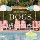 Gray Malin: Dogs