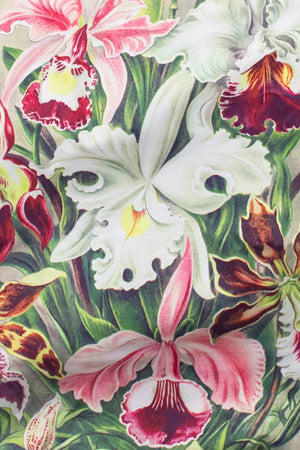 Haeckel Reusable Bag