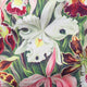Haeckel Reusable Bag