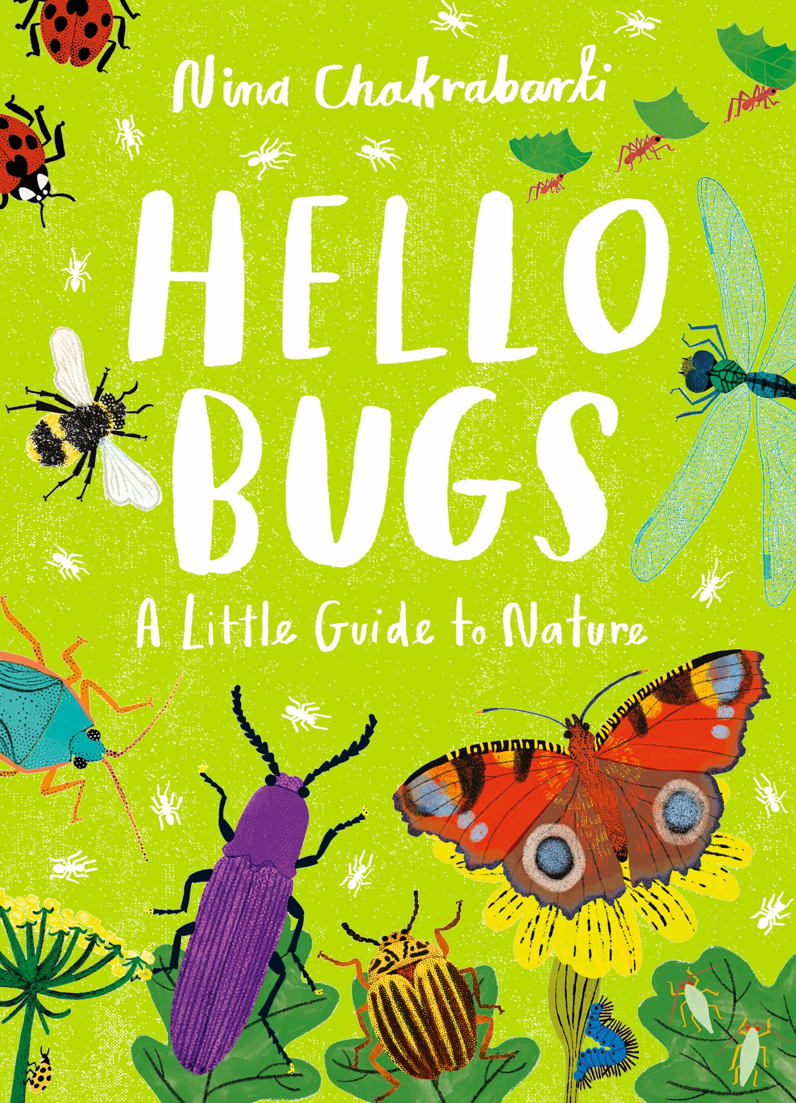 Little Guide to Nature: Hello Bugs – QAGOMA Store