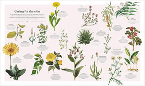 Herb Book: The Stories, Science, and History of Herbs