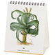 Herbarium Desk Calendar 2026