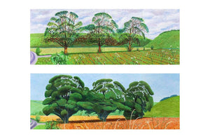 Hockney Interviews