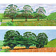 Hockney Interviews