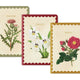 Kaleido Medium Notebook Set - Natural World