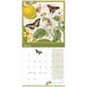 Kew Floral Illustrated Wall Calendar 2026