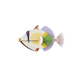 Lagoon Triggerfish B7 Sea Creatures Wall Art