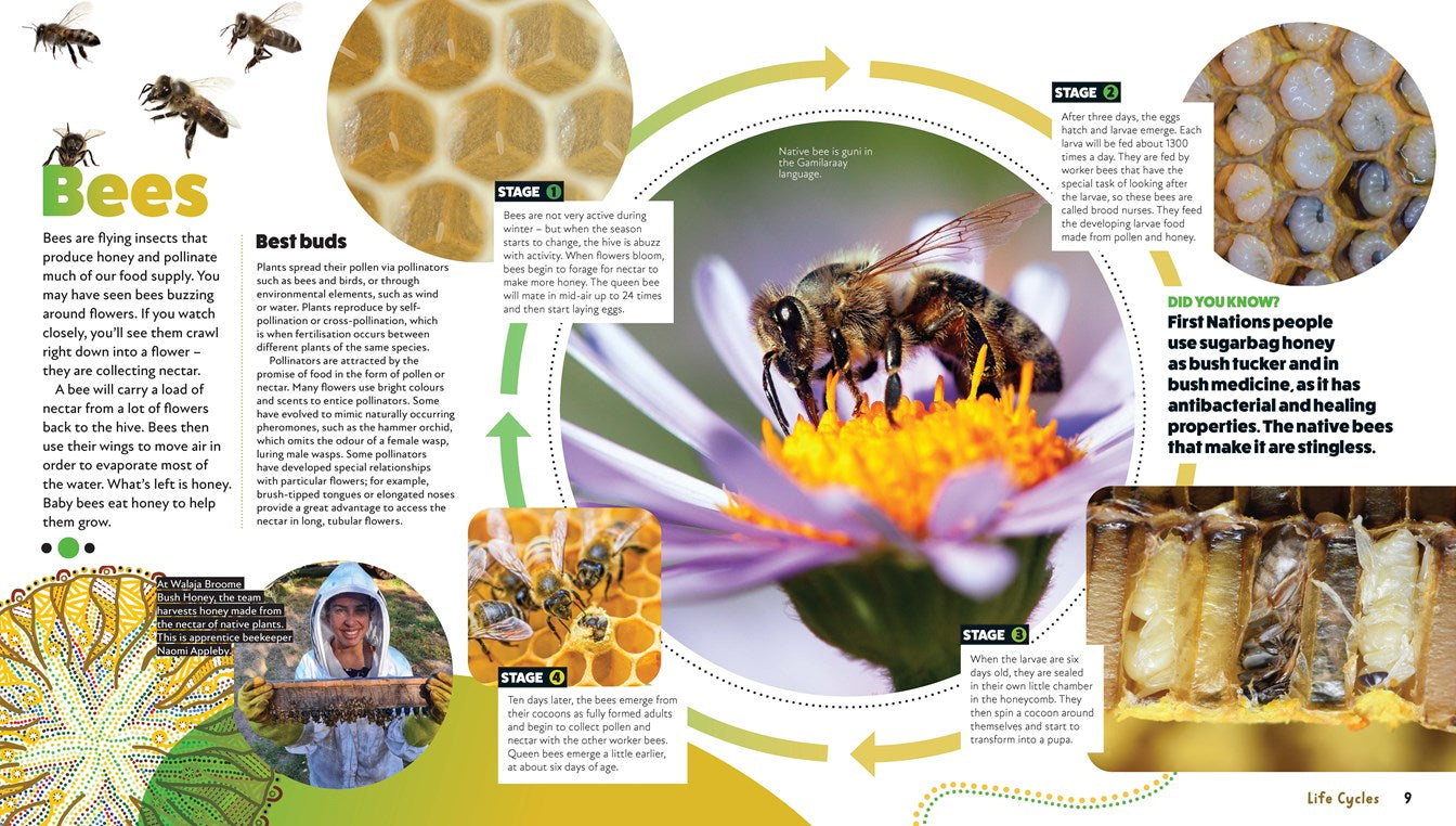 Life Cycles: Deadly Science