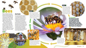 Life Cycles: Deadly Science