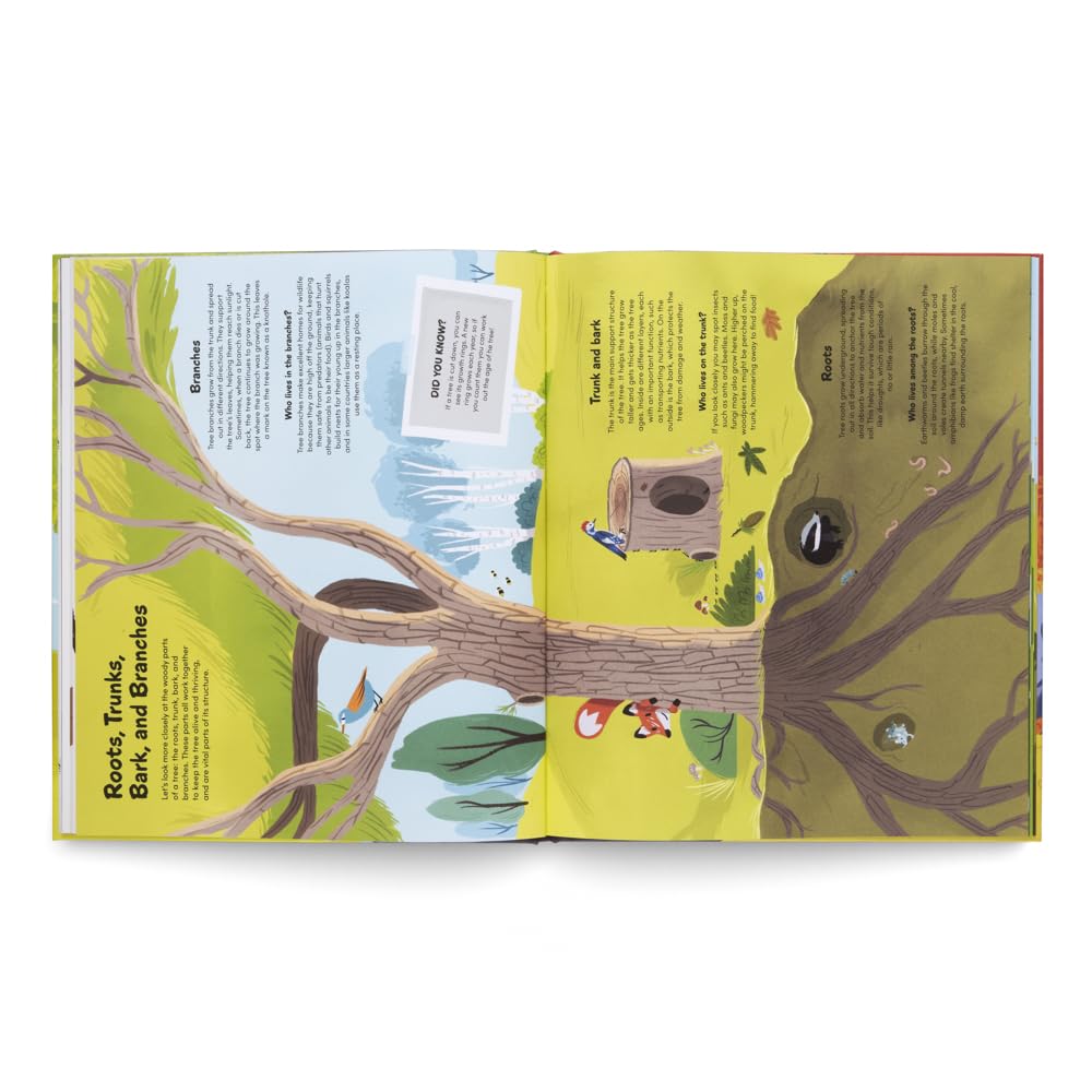 Little Book of Trees