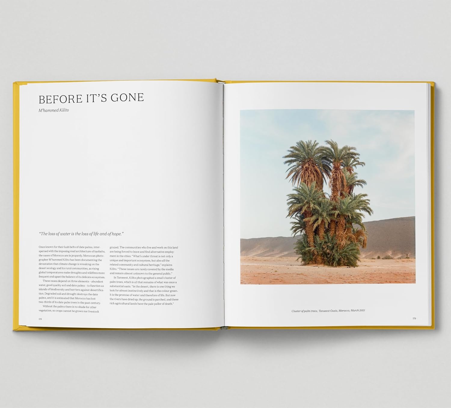 Looking at Trees: New Photography of Trees, Forests & Woodlands