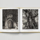 Looking at Trees: New Photography of Trees, Forests & Woodlands