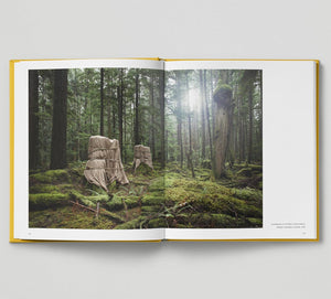 Looking at Trees: New Photography of Trees, Forests & Woodlands