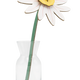 Meadow Daisy Everlasting Flowers