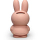 Miffy Powder Pink Money Box