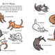 Mindful Meowments: A Cat’s Guide to Feeling Purrfectly Zen